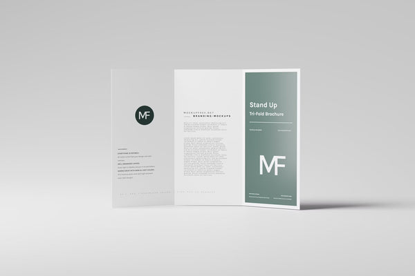 Tri-Fold Brochures (50)