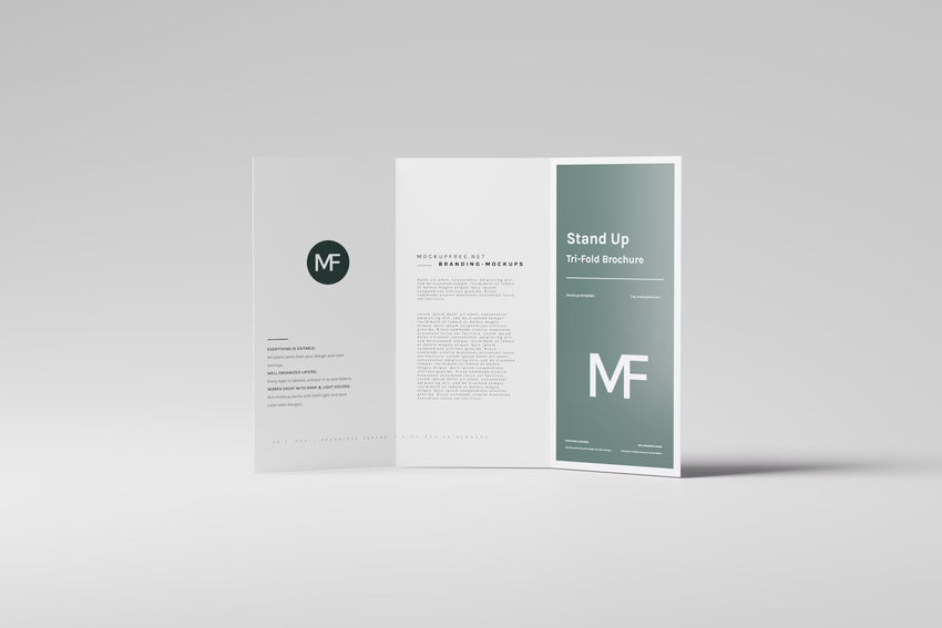 Tri-Fold Brochures (50)